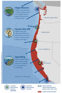 The Pacific Northwest is an acidification hotspot. 